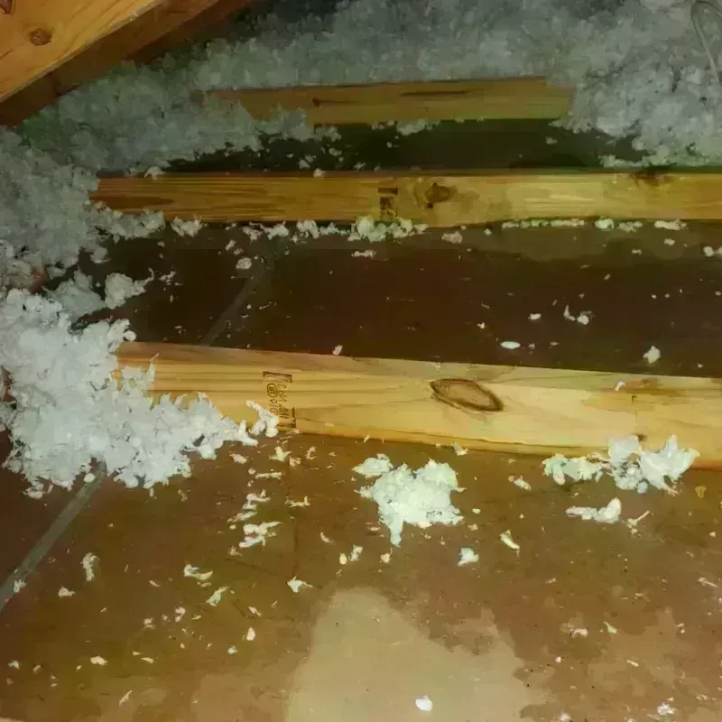 Attic Water Damage in Hyde Park, UT