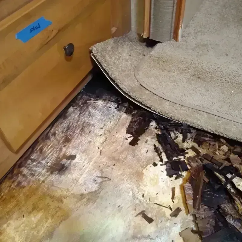 Wood Floor Water Damage in Hyde Park, UT